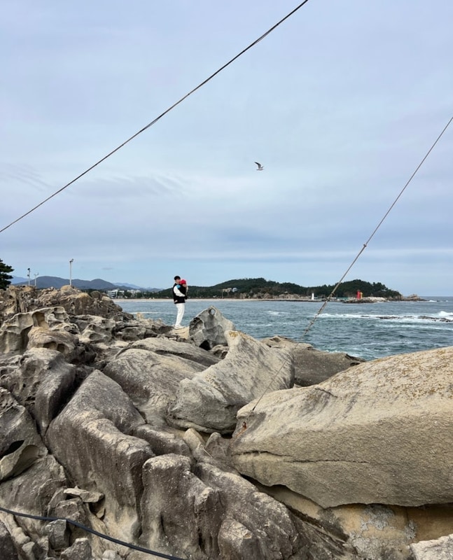 고성 바다 추천 능파대... 해수욕장 송지호해변 오토 캠핑장