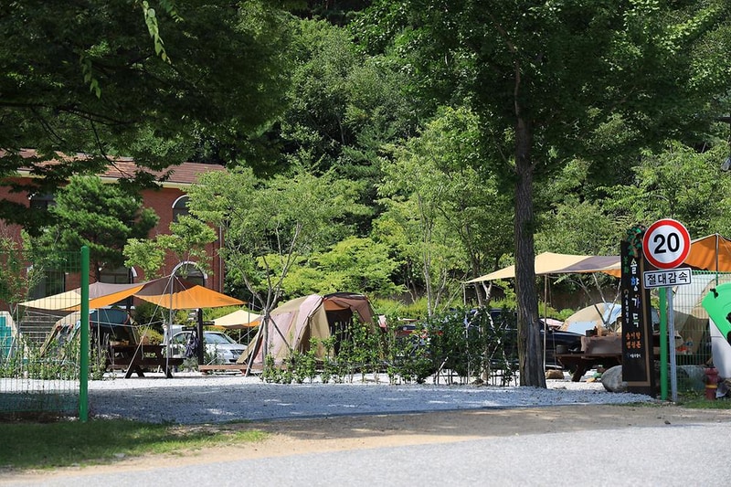 봉화솔향가득서울캠핑장 시설 사진 1