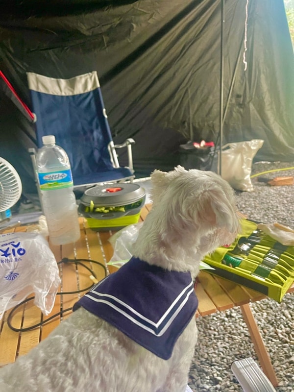 ✌️번째 양주 “은하수 캠핑장 ⛺️ ” 2박3일 후기