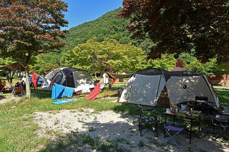 달궁야영장 대표 사진