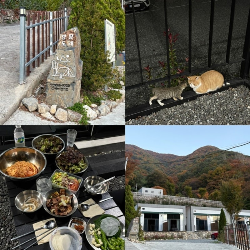 대구 근교 1박 2일 여행 경남 밀양 펜션 글램핑 추천 | 캠핑도래