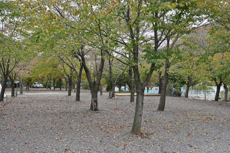 경주 자연 속 최고의 힐링 공간, 경주캠핑장 반딧불이캠핑장 소개