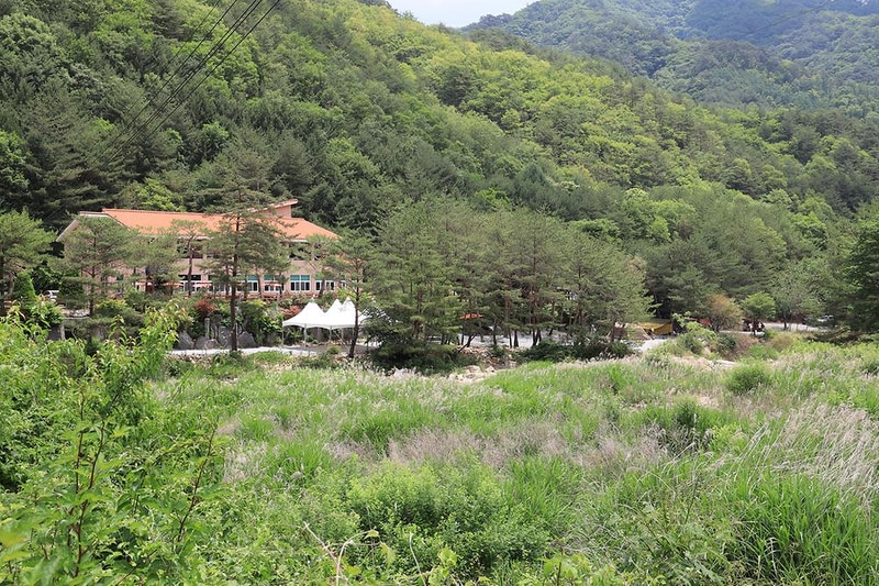 파라다이스캠프 시설 사진 20