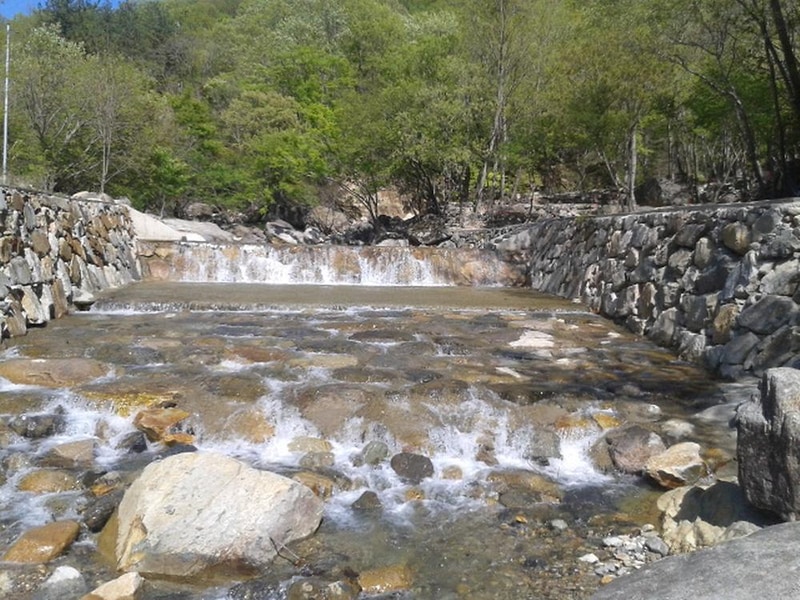 빛 생명 숲 사지목 시설 사진 11