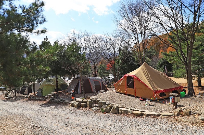 삼남매와 뭉치네 캠핑장 시설 사진 8