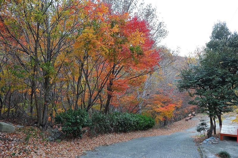 팔영산 자연휴양림 야영장 시설 사진 1