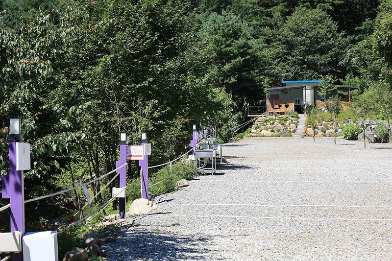 대룡산 오토캠핑장 시설 사진 2