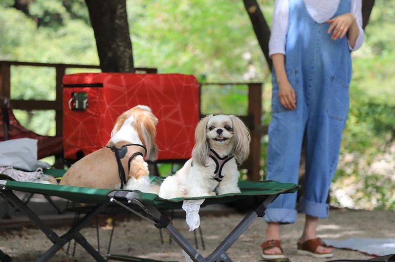 반디하우스캠핑장 시설 사진 10