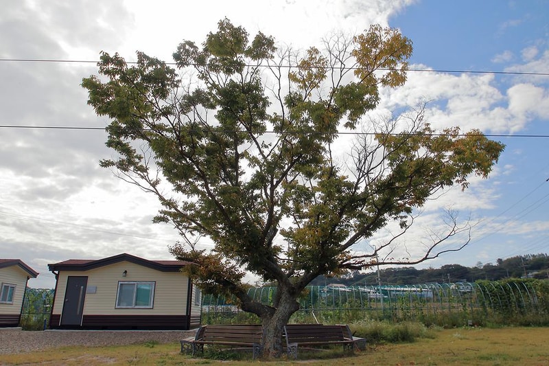 봉산극기체험권역캠핑장 시설 사진 4