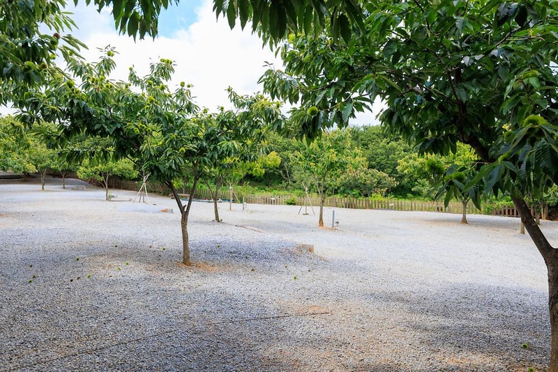 트리팜 관광농원 시설 사진 4