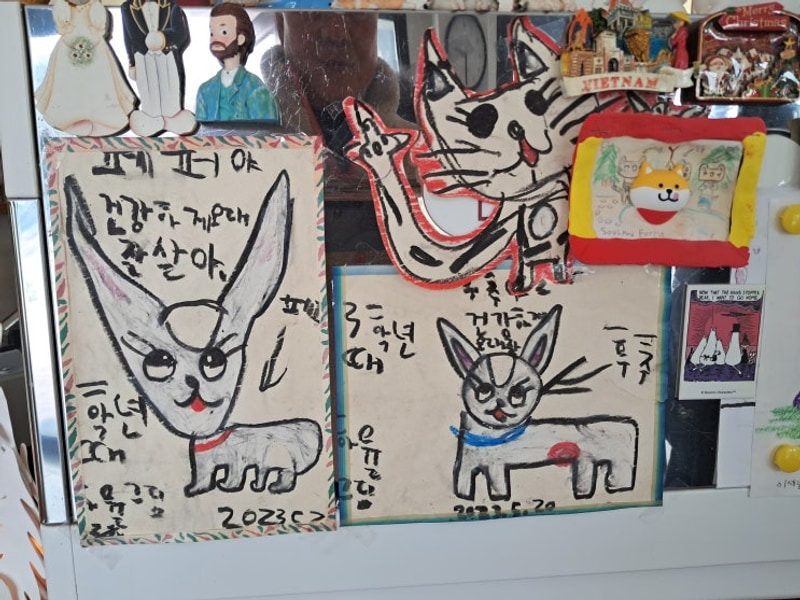 가평 조종천 포레스트 소울 카페 &    포레스트 소울 캠핑장