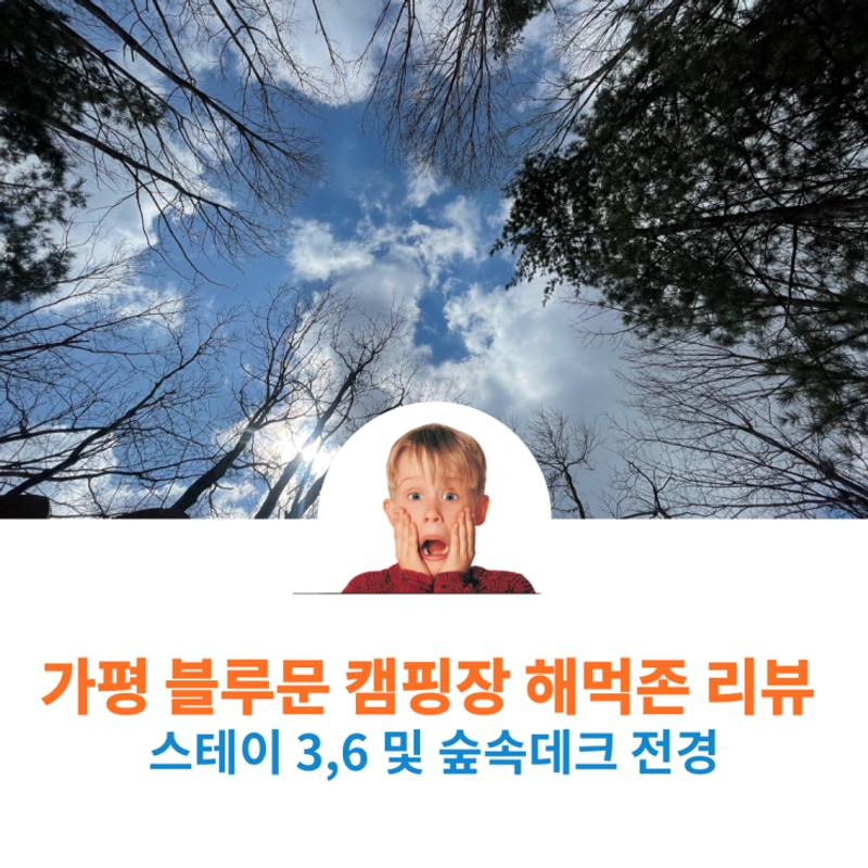 가평 블루문 캠핑장 숲속 명당 및 각 사이트 전경 및 스테이존...