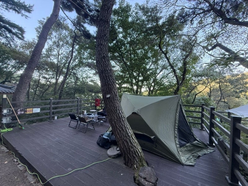 김해 신어산 자연 숲 캠핑장 1박2일. 명당자리 추천드려요...