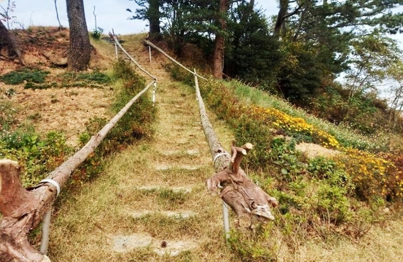 대권오토야영캠핑장 시설 사진 1