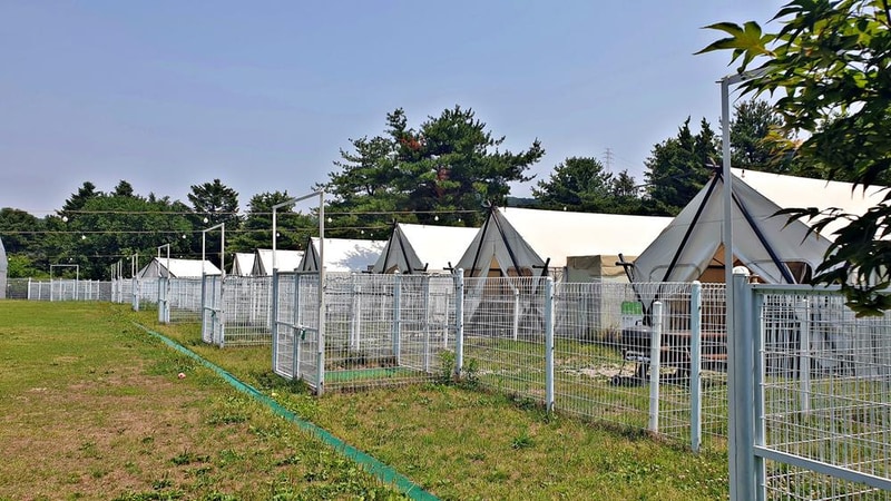 골드펫리조트 시설 사진 3