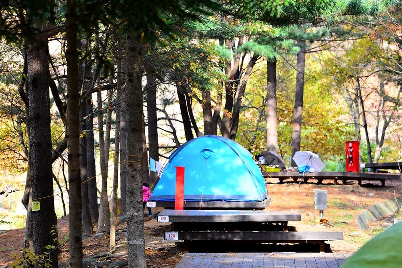 국립유명산자연휴양림(일반) 시설 사진 1