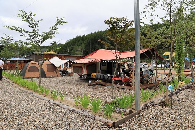 평창바샘캠핑장 시설 사진 15
