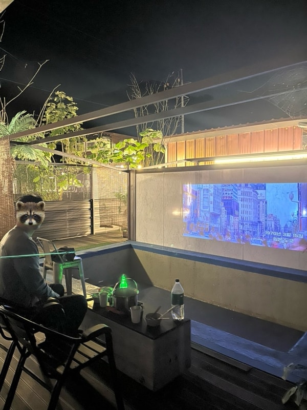 [국내여행] 가평 1박2일 :: 북두칠성글램핑, 아쿠아가든카페...