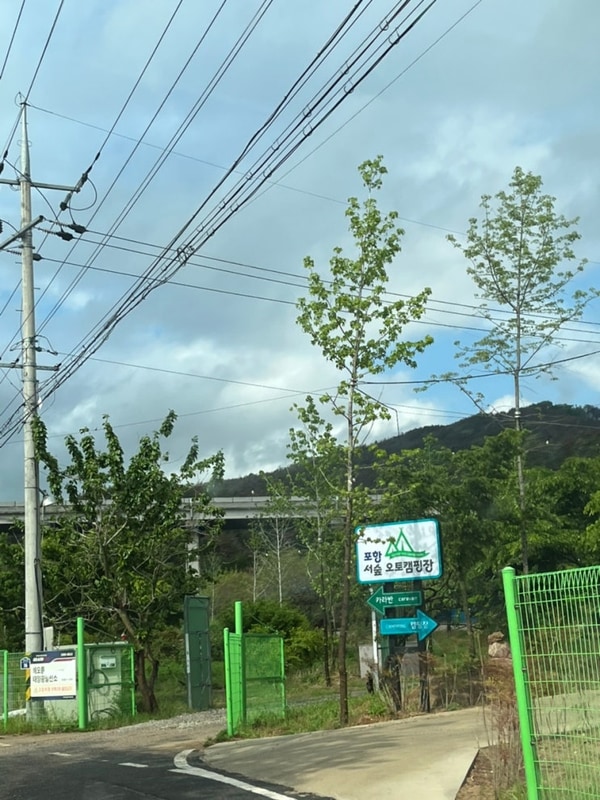 아이들이좋아는곳, 포항북구캠핑장,포항서숲오토캠핑장