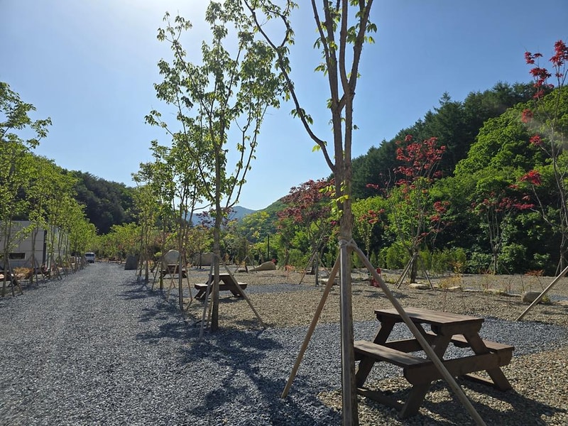 평창 별내림계곡캠핑장 시설 사진 16