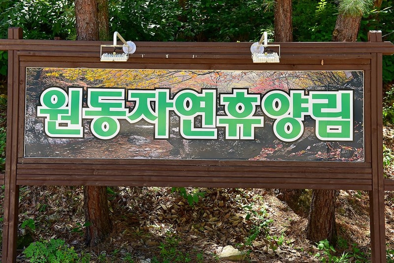 원동자연휴양림 시설 사진 9