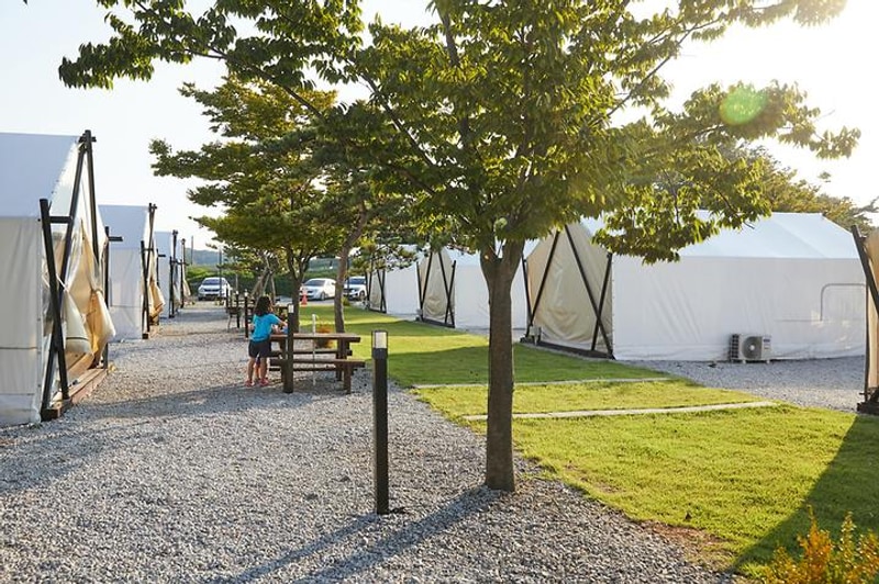 노을빛바다애글램핑 대표 사진