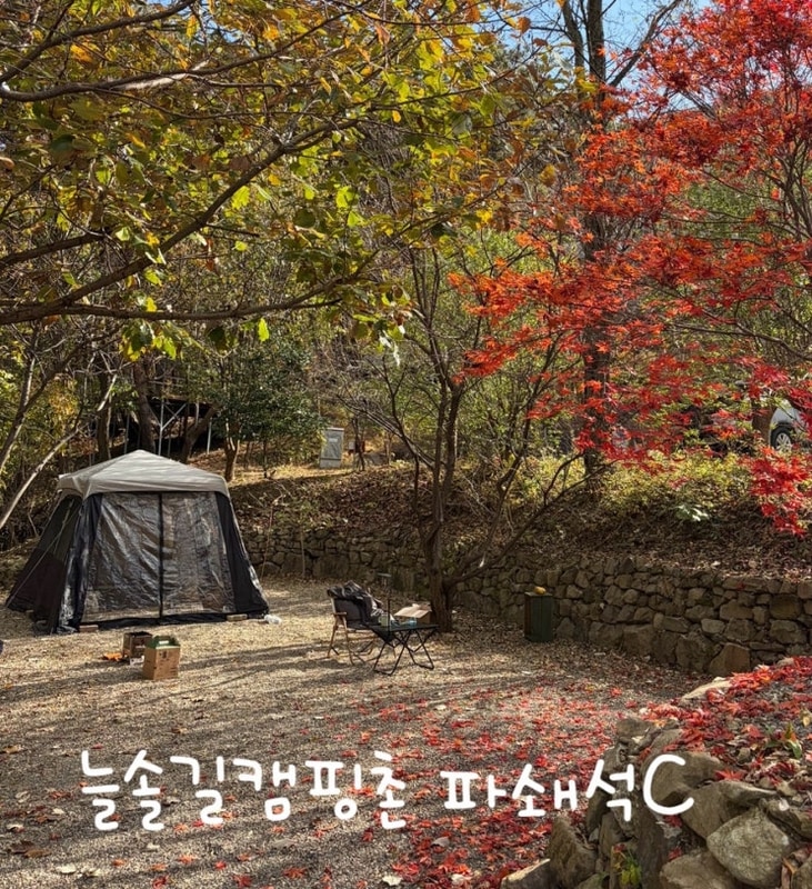 [포항] ‘늘솔길캠핑촌’ 파쇄석 c 사이트 후기-솔캠...