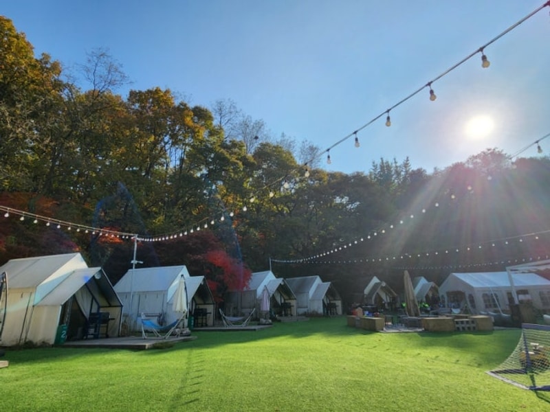 양주캠핑식당 아이들과 가기 좋은 느티포레