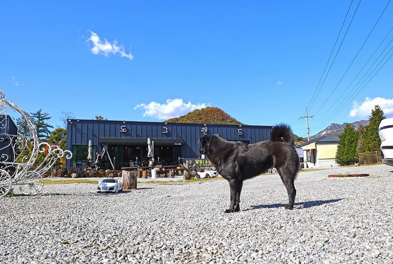 도그랜드 캠핑장 시설 사진 12