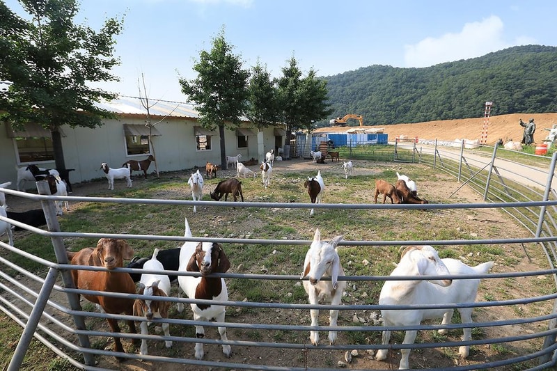 자연애캠핑장 시설 사진 1