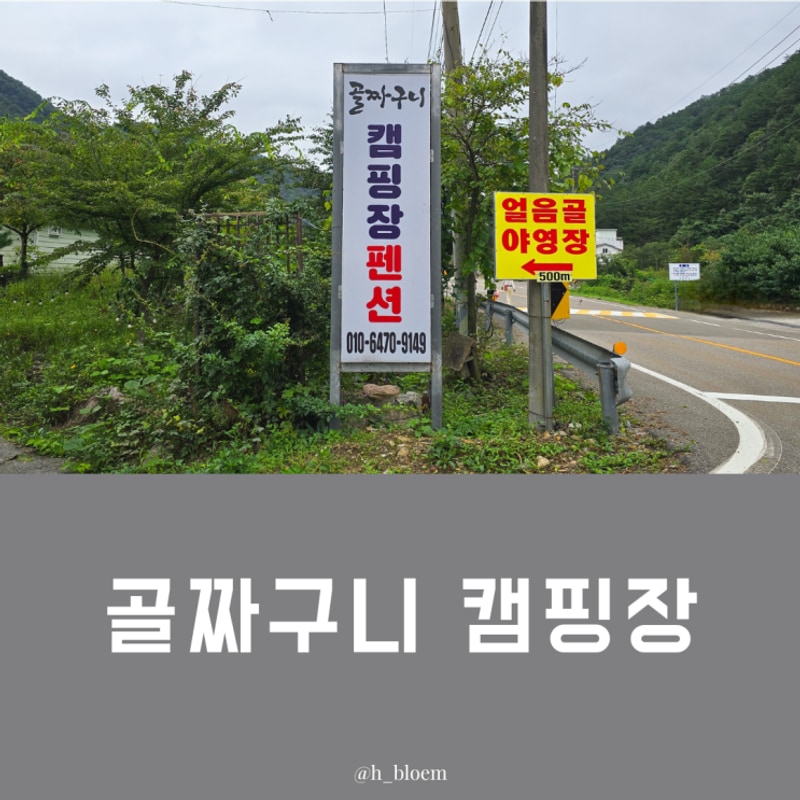 강원도 애견 동반 계곡 캠핑장, 양양 골짜구니 캠핑장 힐링스팟