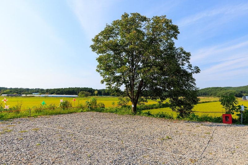 안면도힐링캠핑장 시설 사진 14