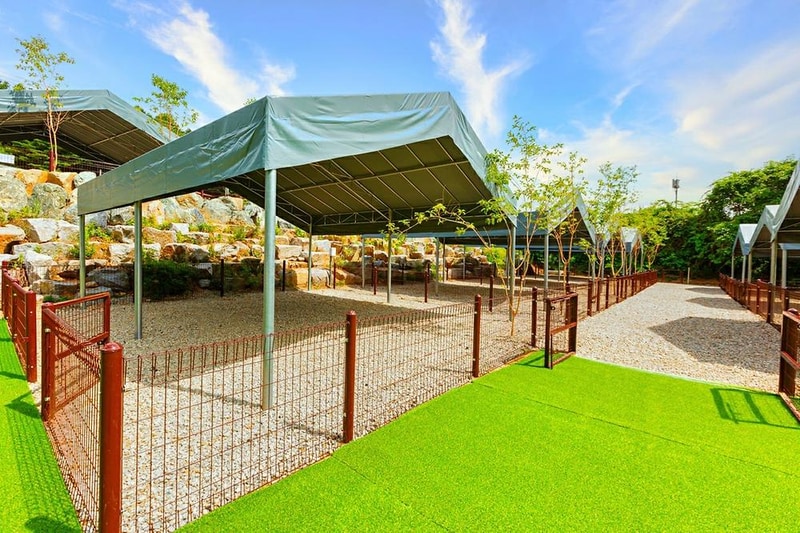 드루왈 캠핑장 시설 사진 18