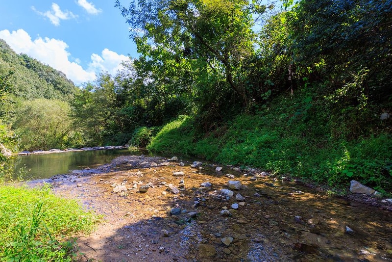 숲에안기다 시설 사진 9