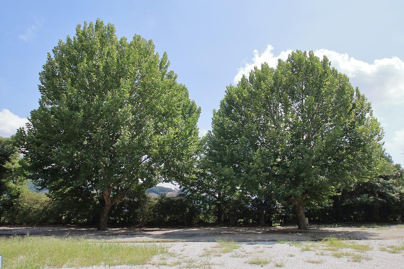 충주반딧불 오토캠핑장 시설 사진 13
