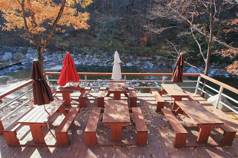 참나무숲 오토캠핑장 시설 사진 2