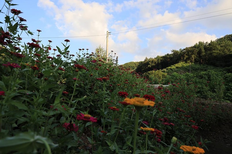 초리 포레스트 시설 사진 2