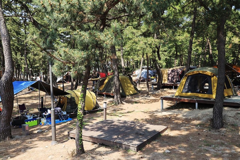 맹방 비치캠핑장 시설 사진 19