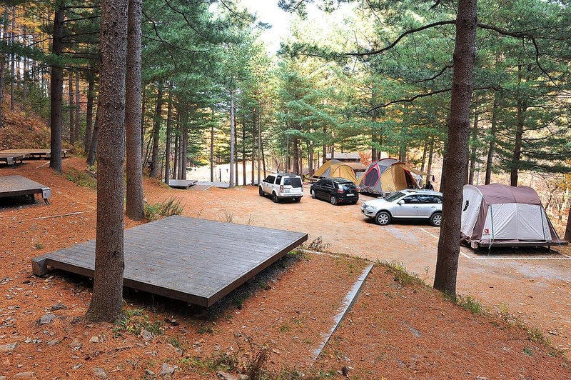 국립청옥산자연휴양림 시설 사진 5