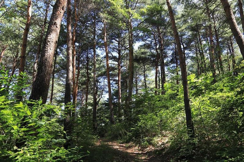 하늘캠핑장 시설 사진 8