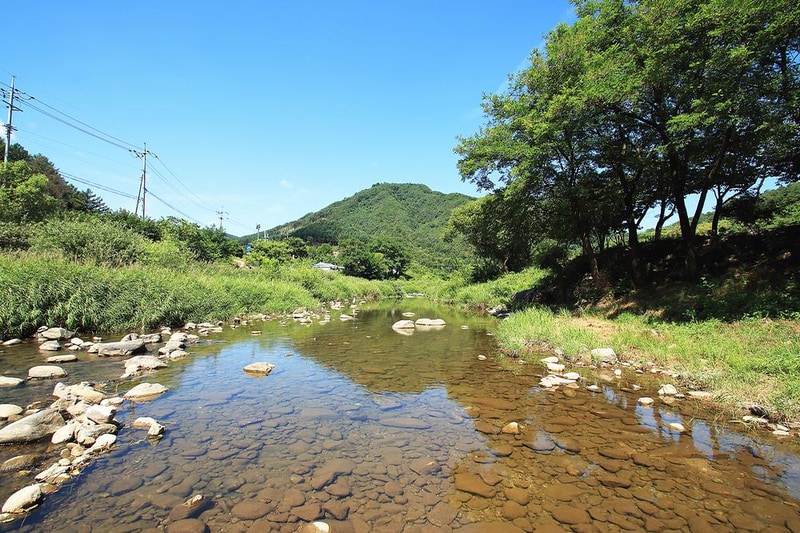 엉클캠프 시설 사진 11