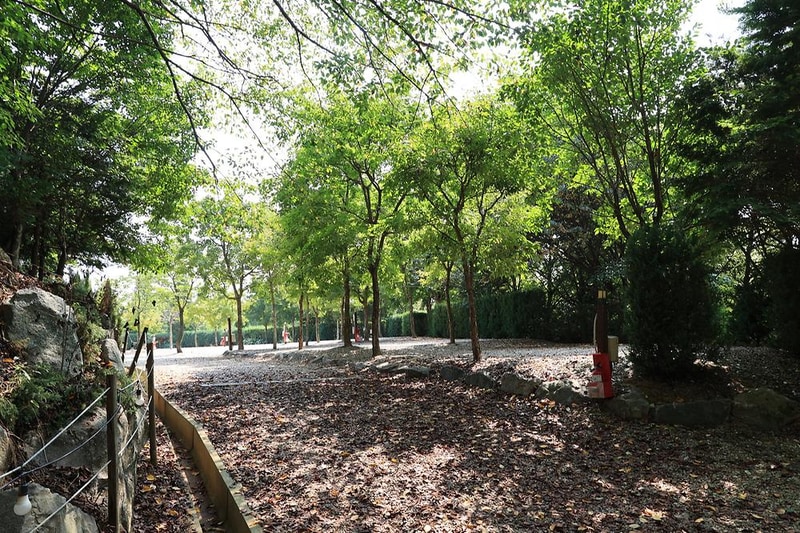 파이브이모션관광농원 시설 사진 2