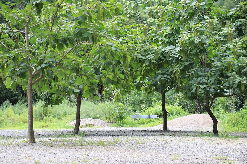 삼척엘림캠핑장 시설 사진 22