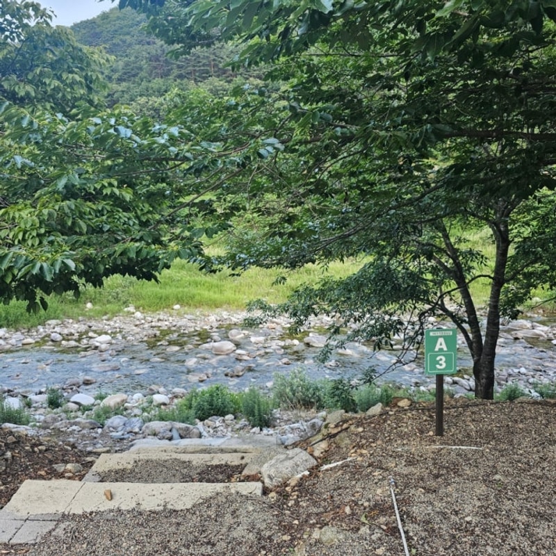 양양캠핑장.양양골짜구니캠핑장.아이들이좋아하는캠핑장 추천