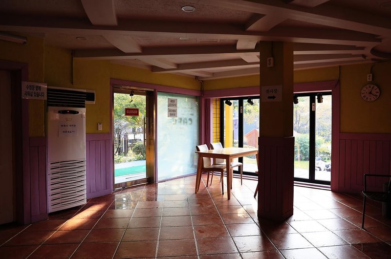 펫밀리애견파크타운 시설 사진 12