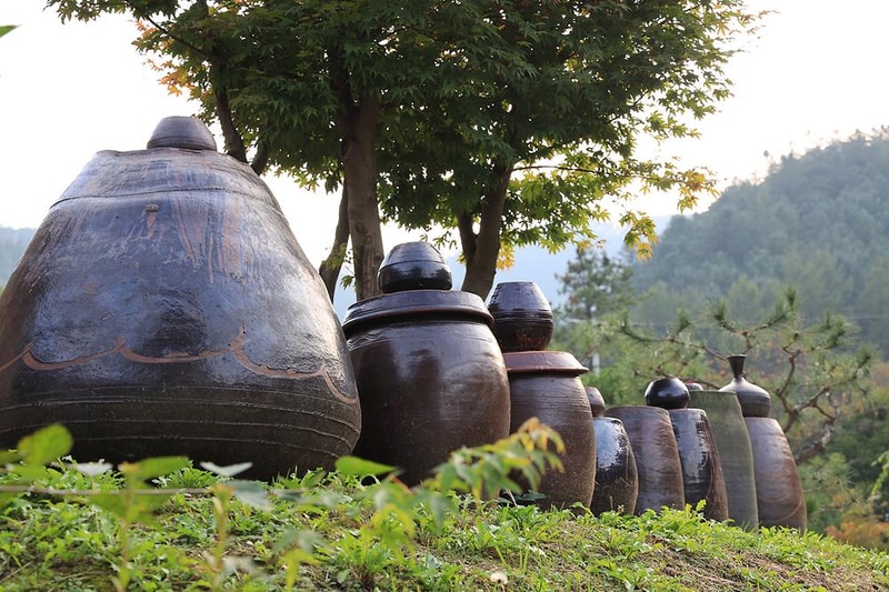 분지울작은캠프장 시설 사진 3