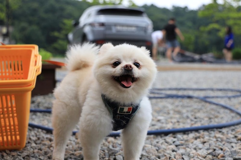 마실캠핑장 시설 사진 9