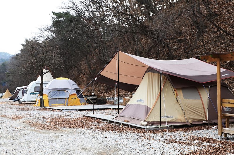 진밭골향기관광농원 야영장 시설 사진 9