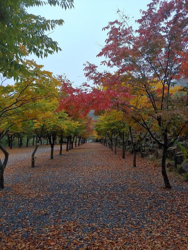 금방아 민박캠핑장 시설 사진 3