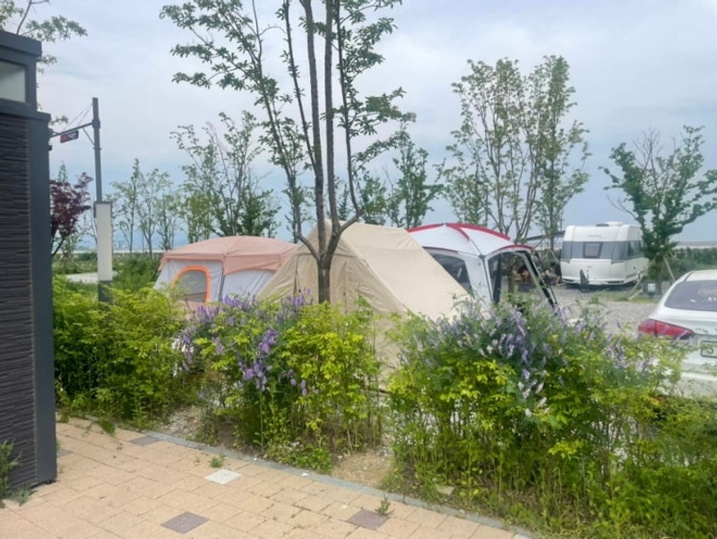 [경기도 평택시 평택항 캠핑장 추천] 평택항국민여가캠핑장